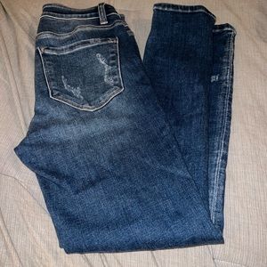 Flying Monkey Mid Rise Ankle Skinny Jean